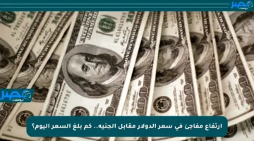 ارتفاع مفاجئ في سعر الدولار مقابل الجنيه.. كم بلغ السعر اليوم؟